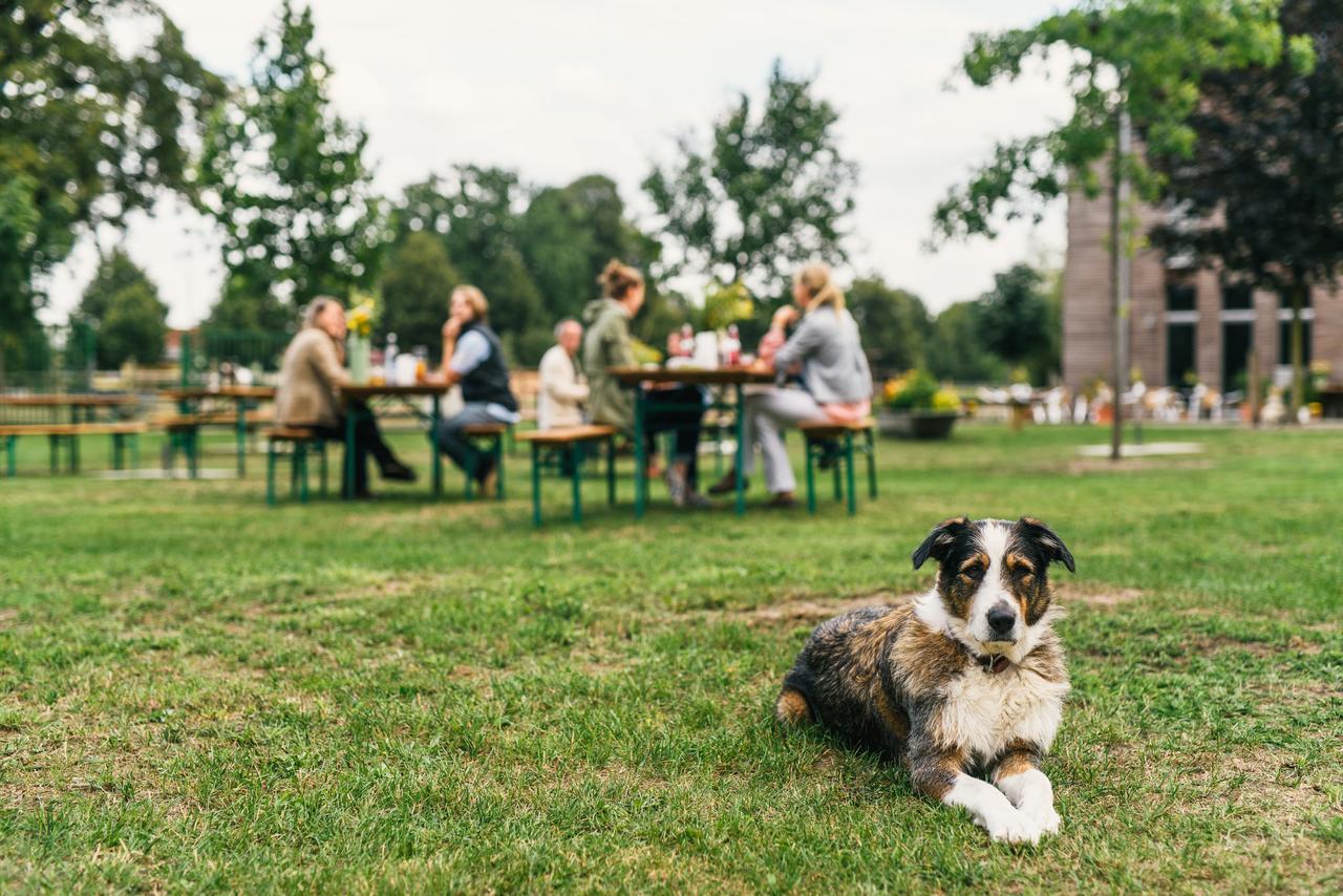 Gaestehaus Am Landgut Schonwalde-Glien エクステリア 写真