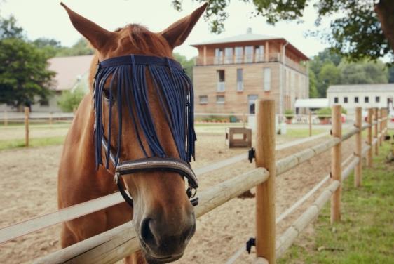 Gaestehaus Am Landgut Schonwalde-Glien エクステリア 写真